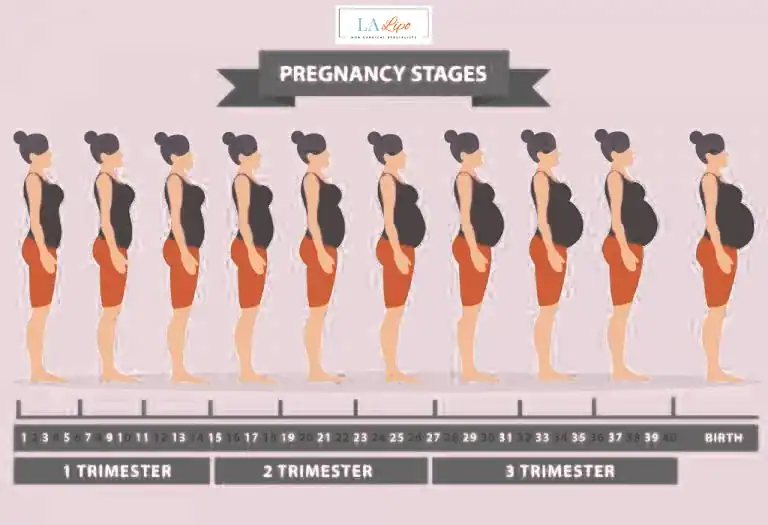 First Trimester (Weeks 1–12): Early Changes You Might Not Notice Chipping Norton